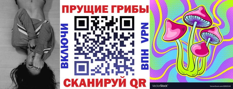 Галлюциногенные грибы MAGIC MUSHROOMS  дарк нет официальный сайт  Искитим  купить  