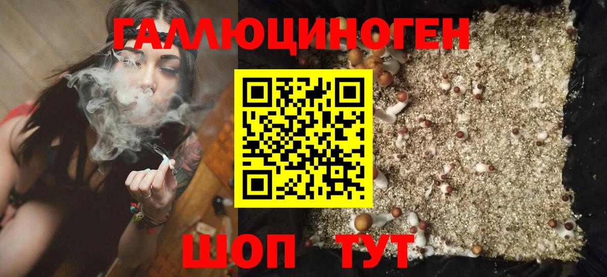 Галлюциногенные грибы прущие грибы Искитим